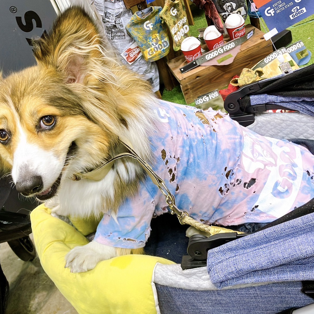 スペシャルヴィンテージTシャツ【ピンク&ブルー】