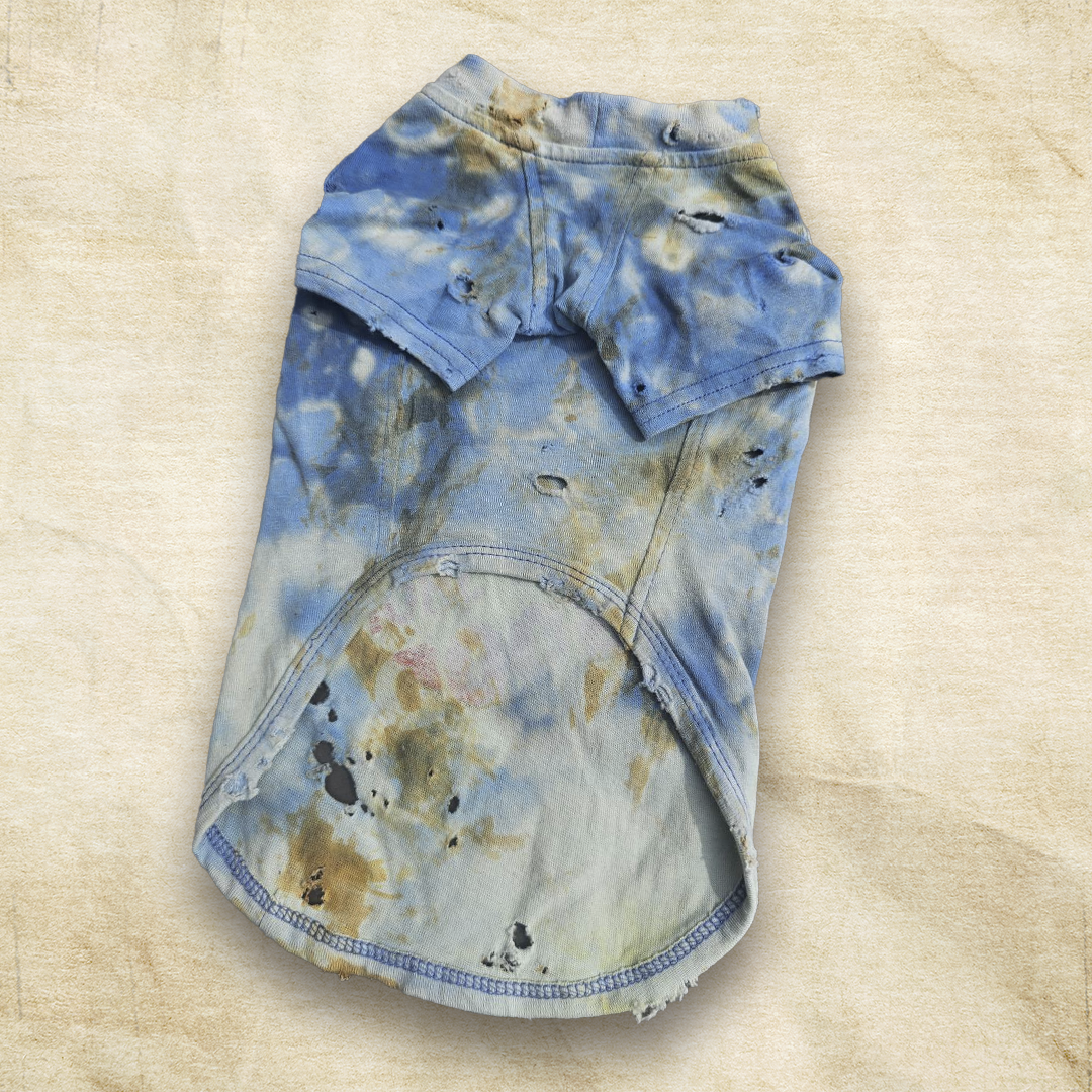 スペシャルヴィンテージTシャツ【DENIM TRICK】