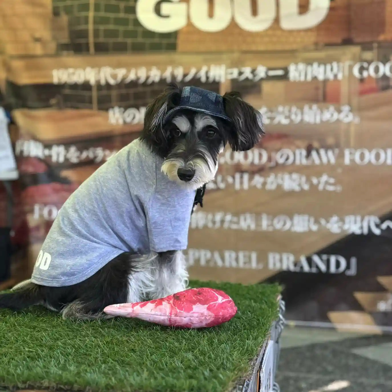 骨付き肉おもちゃ(DOG TOY)
