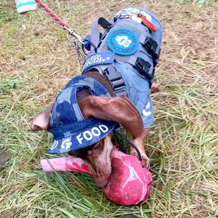 骨付き肉おもちゃ(DOG TOY)