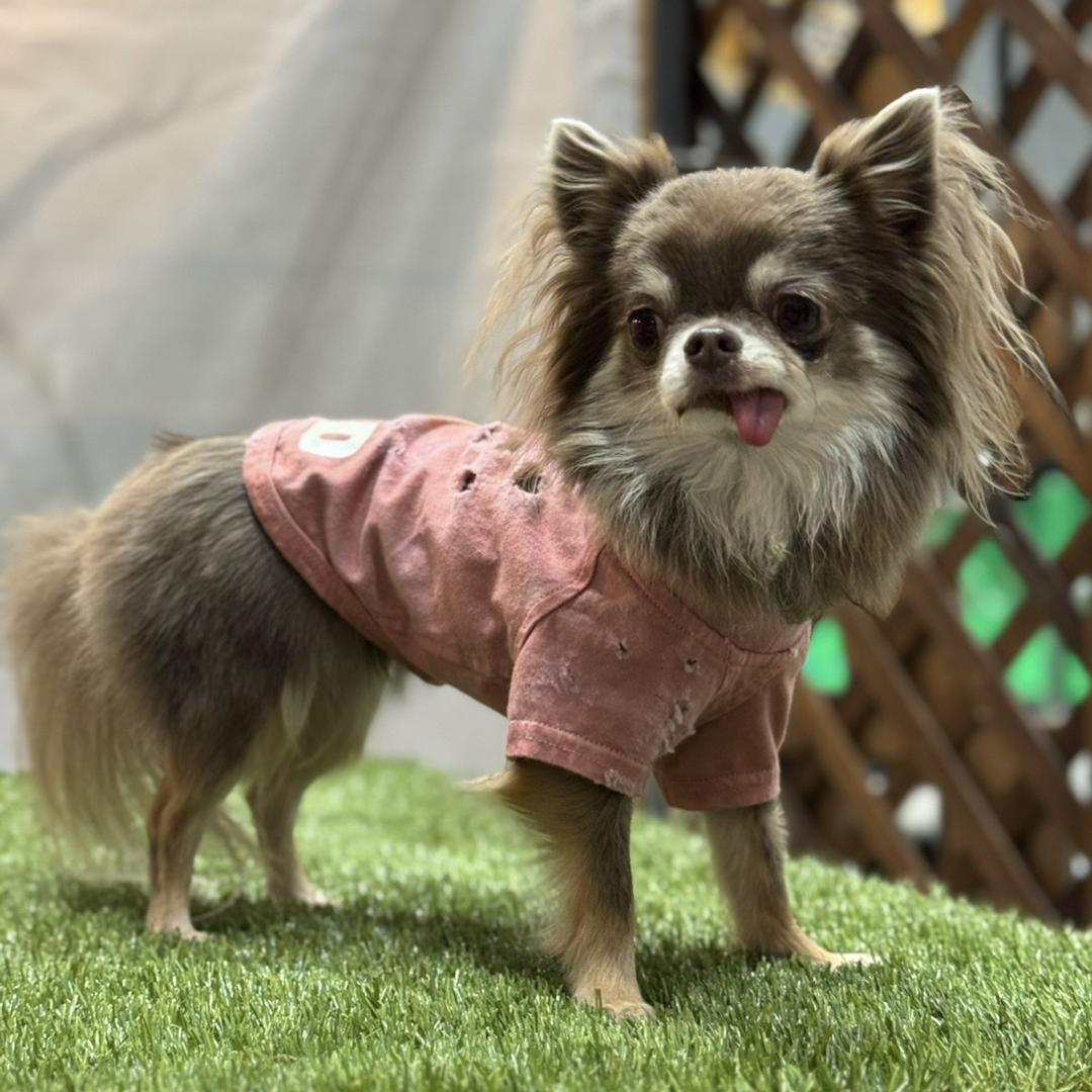 スペシャルヴィンテージTシャツ【ピンク】 – MEATSHOP GOOD スペシャルヴィンテージTシャツ【ピンク】 – MEATSHOP GOOD