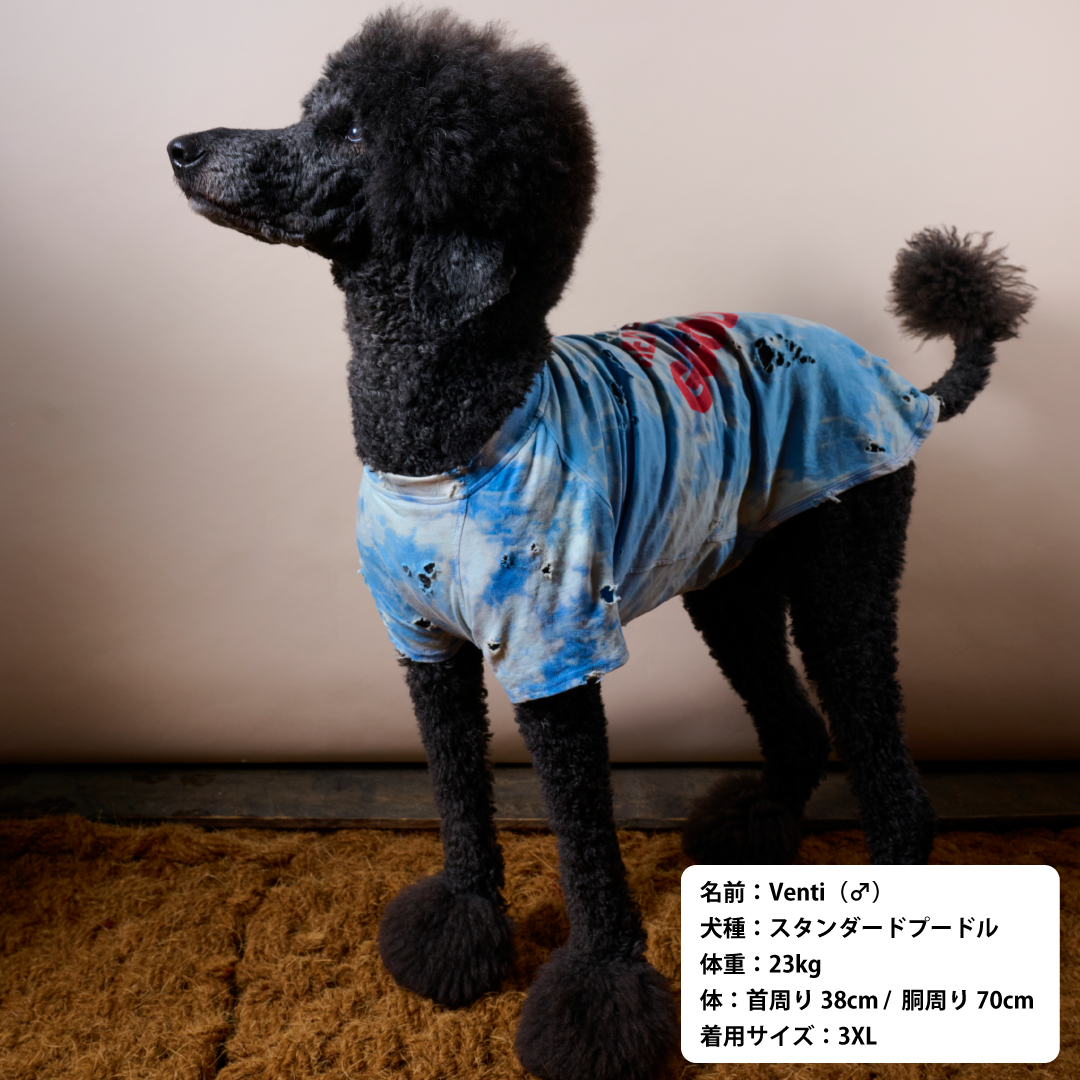 スペシャルヴィンテージTシャツ【DENIM TRICK】