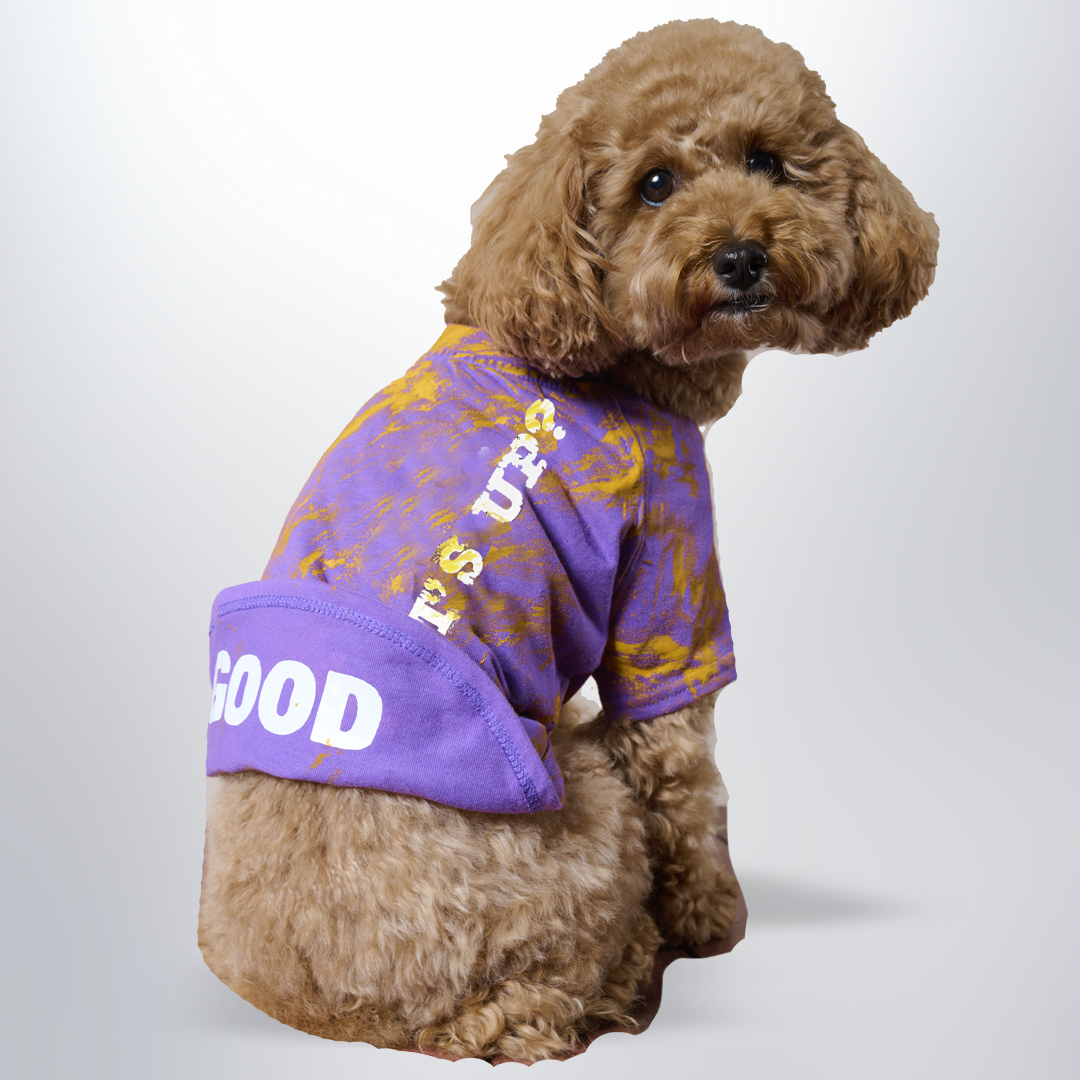 リクエスト商品2点 ダッフィー リーナベル M 犬服 DS242-022- リクエスト商品2点 ダッフィー リーナベル M 犬服 DS242-022-