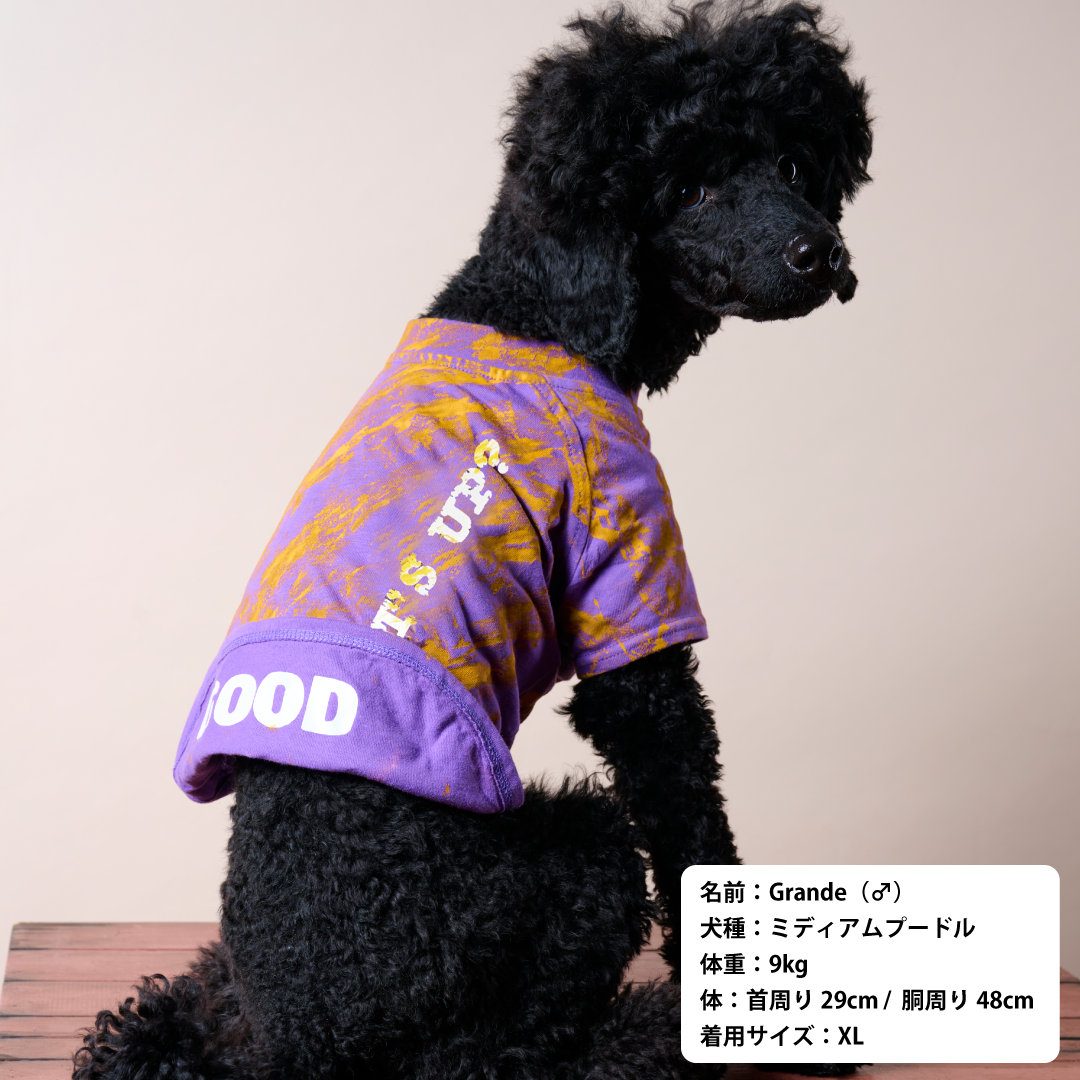 クラッシュTシャツ【WHAT'S UP?】