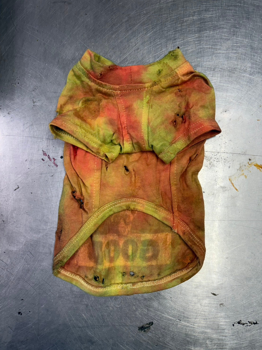 スペシャルヴィンテージTシャツ【Miniature Pinscher】