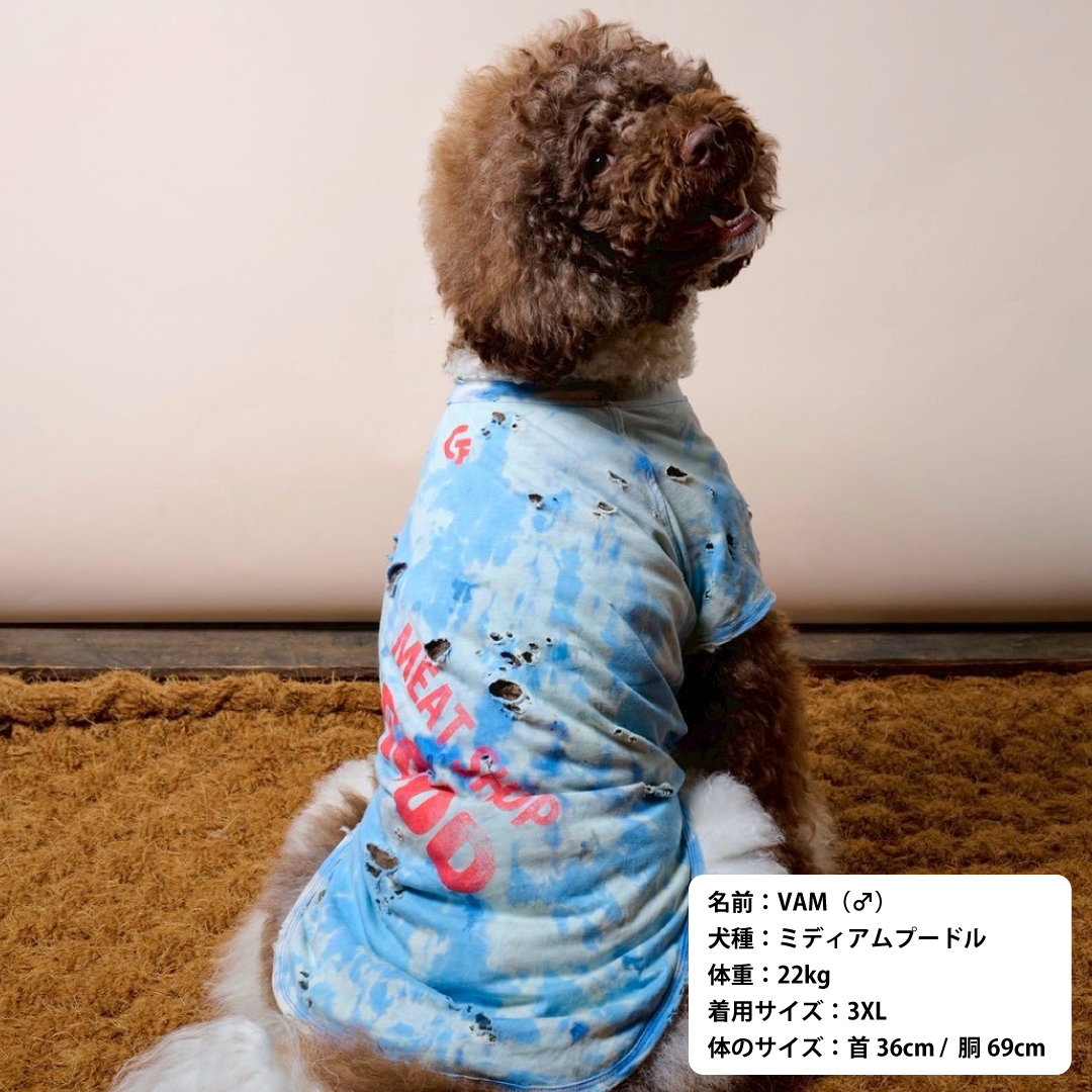 スペシャルヴィンテージTシャツ【DENIM TRICK】