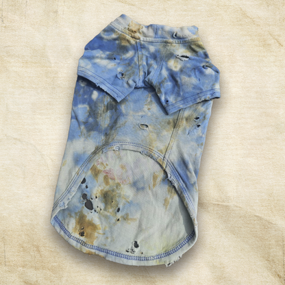 スペシャルヴィンテージTシャツ【DENIM TRICK】