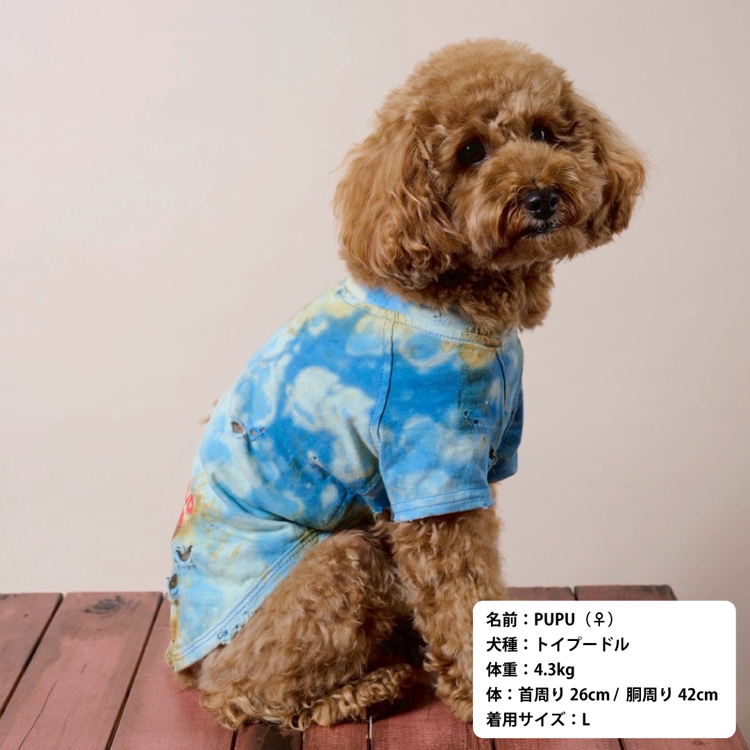 スペシャルヴィンテージTシャツ【DENIM TRICK】
