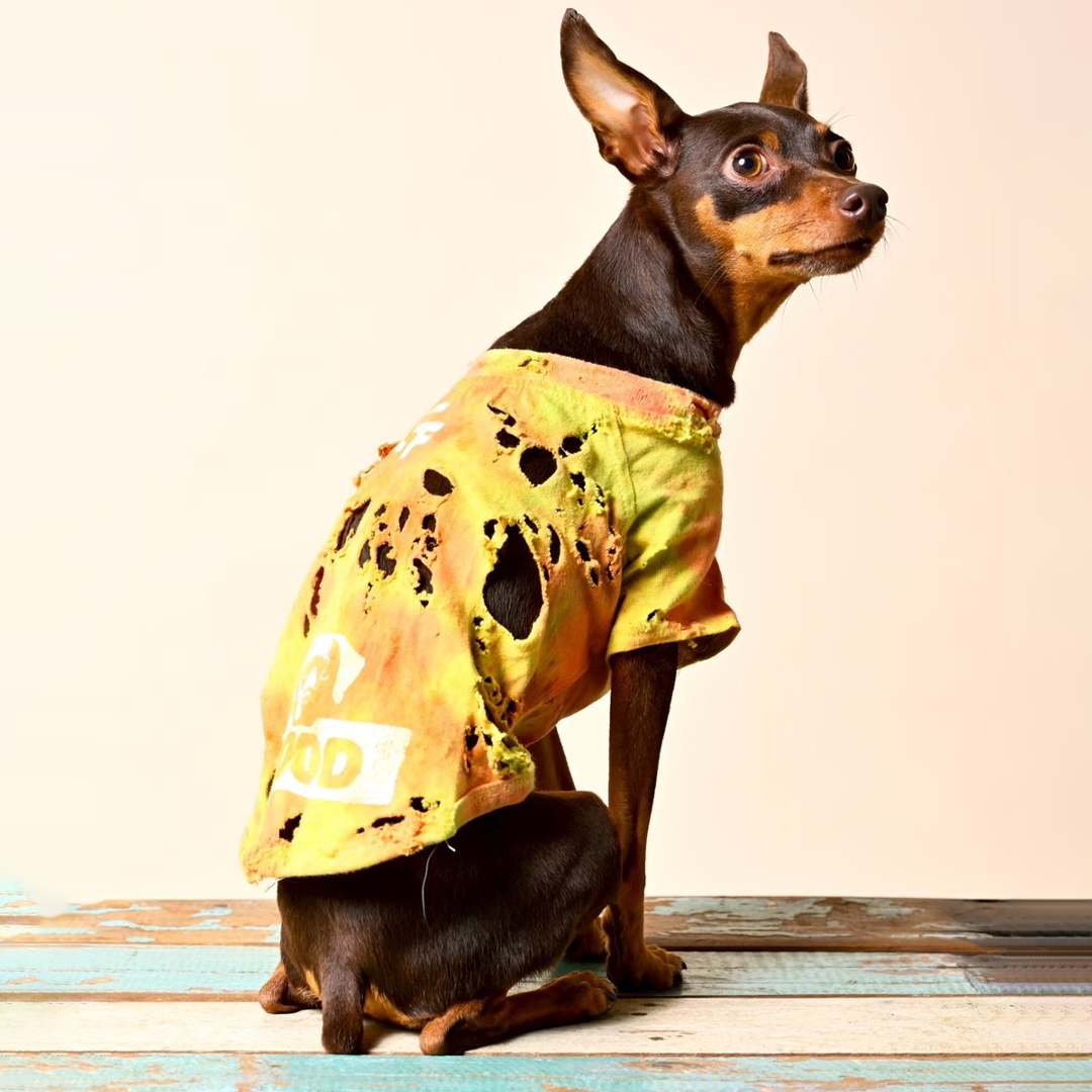 スペシャルヴィンテージTシャツ【Miniature Pinscher】
