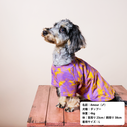 クラッシュTシャツ【WHAT'S UP?】