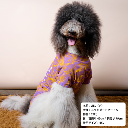 クラッシュTシャツ【WHAT'S UP?】